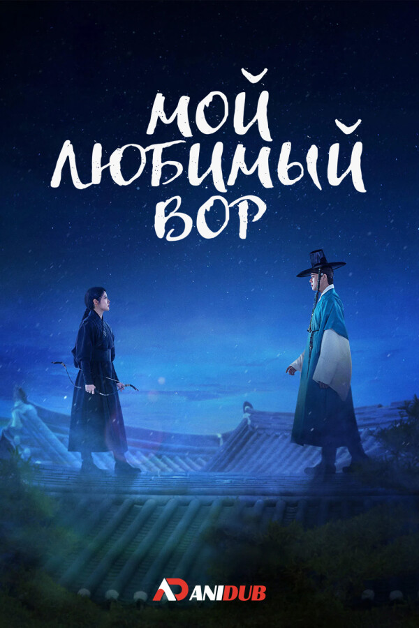 Мой любимый вор